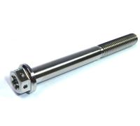 Viti Da Corsa In Titanio Flangiate Dual Drive Cross Drilled KTM M6X40 0025060406