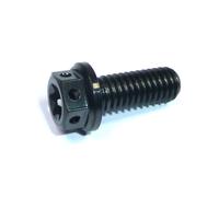 Viti Da Corsa In Titanio Flangiate Dual Drive Cross Drilled KTM M6X40 0025060406