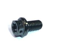 Viti Da Corsa In Titanio Flangiate Dual Drive Cross Drilled KTM M6X40 0025060406