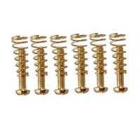 Viti Di Fissaggio Per Cordiera A Ponte In Ferro Da 6 Pezzi Con Set Di Molle Per Parti Di Ricambio Per Chitarra Elettrica Accessorio per Chitarra Strumento (Color : 02)