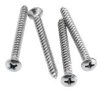 Viti di montaggio del manico del parafango - Cromate