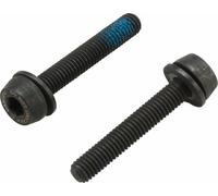 Viti Di Montaggio Per Caliper Disc Campagnolo H11 2x29mm Per 20-24mm Posteriore