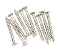 Viti di Montaggio per Manico per Chitarra, Viti di Montaggio per Placca per Manico in Acciaio Inossidabile da 10 Pezzi per il Montaggio