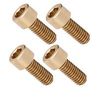 Viti Esagonali, 50 Pezzi Vite a Esagono Incassato Vite M6 Viti a Testa con Esagono Incassato Elementi di Fissaggio in Rame Strumenti Hardware Forniture Industriali M6 (M6*14 mm)