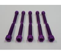 VITI IN ERGAL CARENA TESTA CILINDRICA TCEI M8X25 VIOLA 10 PEZZI