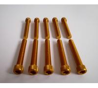 VITI IN ERGAL TESTA CILINDRICA TCEI M8X50 ORO 10 PEZZI