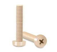 Viti in PEEK M1.2 M1.4 M1.6 M2 M2.5 M2.6 M3 M4 Phillips Pan Testa Tonda Bulloni, 5 pezzi, M4x30mm