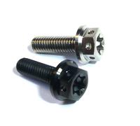 Viti In Titanio KTM STYLE M5x30 Twin Drive Race Spec No Ruggine 0025050306