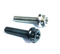 Viti In Titanio Race Spec KTM STYLE M5x30 Twin Drive No Ruggine 0025050306