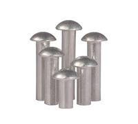 Viti metalliche 5-200 pezzi rivetti solidi in alluminio a testa semitonda M2-M8(100pcs M3x10)