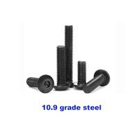 Viti metalliche 50 pezzi M2 M2.5 M3 304 acciaio inossidabile nero grado 10.9 testa esagonale bullone vite a bottone(10.9grade steel,6MM_50PCS M2.5)
