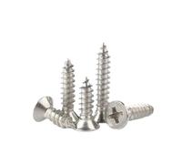 Viti Metalliche 50 pz M2 M2.2 M2.6 M3 in Acciaio Inox 304 Croce Incasso Piatto A Testa Svasata Vite per Legno Autofilettanti(10mm,M2 x 50pcs)