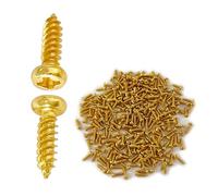 Viti Montaggio Per Chitarra 100pc Per Viti Da Barca Per Battite Per Battiti Chitarra Elettrica Viti Bassuard Viti Da Bacpa Per Bassuard Set Viti Modifica Della Chitarra