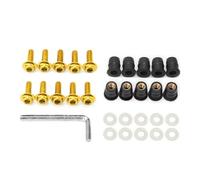 Viti moto Universale 10PCs Motorbike Windscreen Fastener Kit Di Viti Con Inserto In Gomma Motorbike Windshield Lega Bulloni Dado