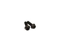 Viti per portaborraccia Wilier set 2 pezzi