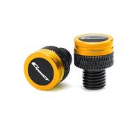 Viti per specchietto retrovisore moto Per C400GT C400X C400 GT/X 2019-2023 2022 2024 Motocicletta Specchi Foro Spina Viti Tappi Specchio Copertura(J)