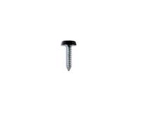 Viti Per Targa Di Collegamento 10 X 1" Nero Polytop 100pz 31548