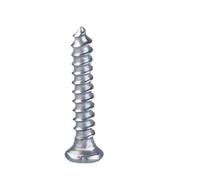 Viti Phillips A Testa Piatta Da 800 Pezzi Classe 6 | Autofilettante for legno metallo, testa piatta Phillips, acciaio classe 6, fissaggio generale