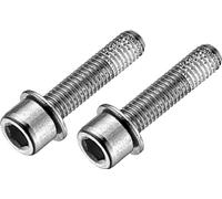 Viti pinza freno posteriore Flat Mount - acciaio inossidabile - coppia - 22 mm