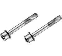Viti pinza freno posteriore Flat Mount - acciaio inossidabile - coppia - 37 mm