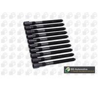 Kit viti testa cilindri Scanalature incassate (Ribe CV) BK4308 BGA per AUDI SEAT
