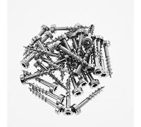 Viti Torx con foro tascabile da 2,5 cm, autofilettanti (1000 ct.)