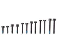 Viti torx magura flat mount posteriore