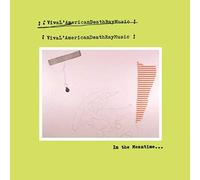 Viva l'American Death Ray Musi - In the Meantime CD