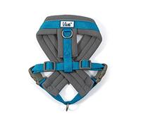 Viva Pettorina Imbottita Blu M 41-53cm