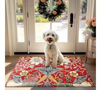 Vivace Floreali, di Frutta Non-Slip Assorbente Mat Porta per Porta d'ingresso, Cucina, Corridoio - Sfondo Rosso con le Fragole