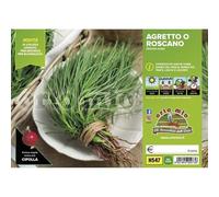 Vivai le Georgiche - Agretto - 1 Plateaux da 12 piantine