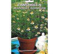 Vivai Le Georgiche Camomilla (Matricaria Chamomilla) Seme