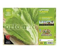 Vivai le Georgiche - Lattuga romana bionda "Flavius" - 1 Plateaux da 9 piantine