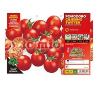 Vivai le Georgiche - Pomodoro ciliegino Bingo "Twitter F1" - 1 Plateaux da 6 piantine
