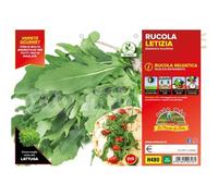 Vivai le Georgiche - Rucola selvatica "Letizia" - 1 Plateaux da 9 piantine