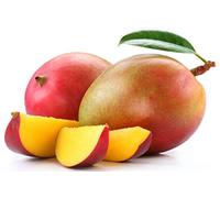 Vivaio Garden forest - Mango Glenn (Mangifera indica) - Pianta da Frutto Innestata H 140 cm, Varietà Dolce Senza Fibre, Maturazione ad Agosto