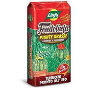 Vivaio Garden Forest Terriccio Linfa per Piante Grasse, Cactacee e Succulente, 10 lt, Cura piante, Contro Ristagni Idrici, Trattiene acqua, Riserva Pianta, Serra, Giardinaggio, Torba, Sabbia, Lapillo