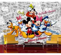 Vivaio Mickey Parati 360x254 CM 358x254cm Grande Disney Murale Decorazione