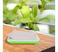 Vivaio Pentola Germogliatore Vassoio Soil-Free Wheatgrass Crescita Germinazione