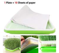 Vivaio Pentola Germogliatore Vassoio Soil-Free Wheatgrass Crescita Germinazione