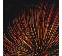 Vivaldi - Four Seasons