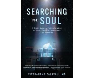 Vivekanand Palavali Searching for Soul (Tascabile)