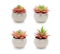 VIVERIE 4 pezzi di piante grasse artificiali rosa e verdi in vasi (plastica) - Piccole piante artificiali