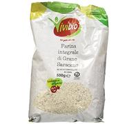 Vivibio Organic farina di grano saraceno - Stone-Ground Wholemeal Flour - Versatile for Coating and Baking - Natural Taste with Rustic Aroma - 500g