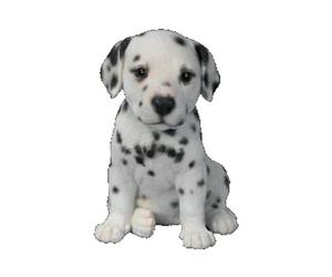 Vivid Arts Cucciolo dalmata Pet Pal