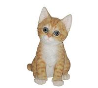 Vivid Arts Pet Pals Playful Kittens Ginger