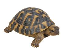 Vivid Arts XRL-Herm-B Hermann Resina Tartaruga Ornamento