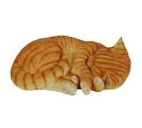 Vivid Arts zenzero gatto addormentato, formato B