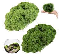 VIVIIHOO Muschio Artificiale 100g, Muschio Decorativo per acquari, pareti e Decorazioni Natalizie, Muschio Artificiale Reale per Le Foto di Muschio, Decorazione con Muschio Finto (Verde)