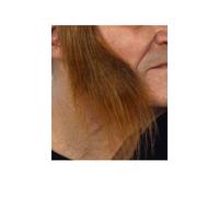 Viving Costumes 202867 Sideburns, Multi Color, One Size